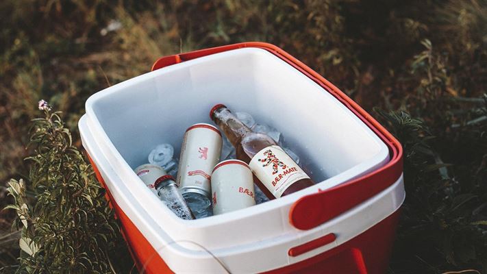 Kølebokse den perfekte løsning til opbevaring af mad og drikkevarer