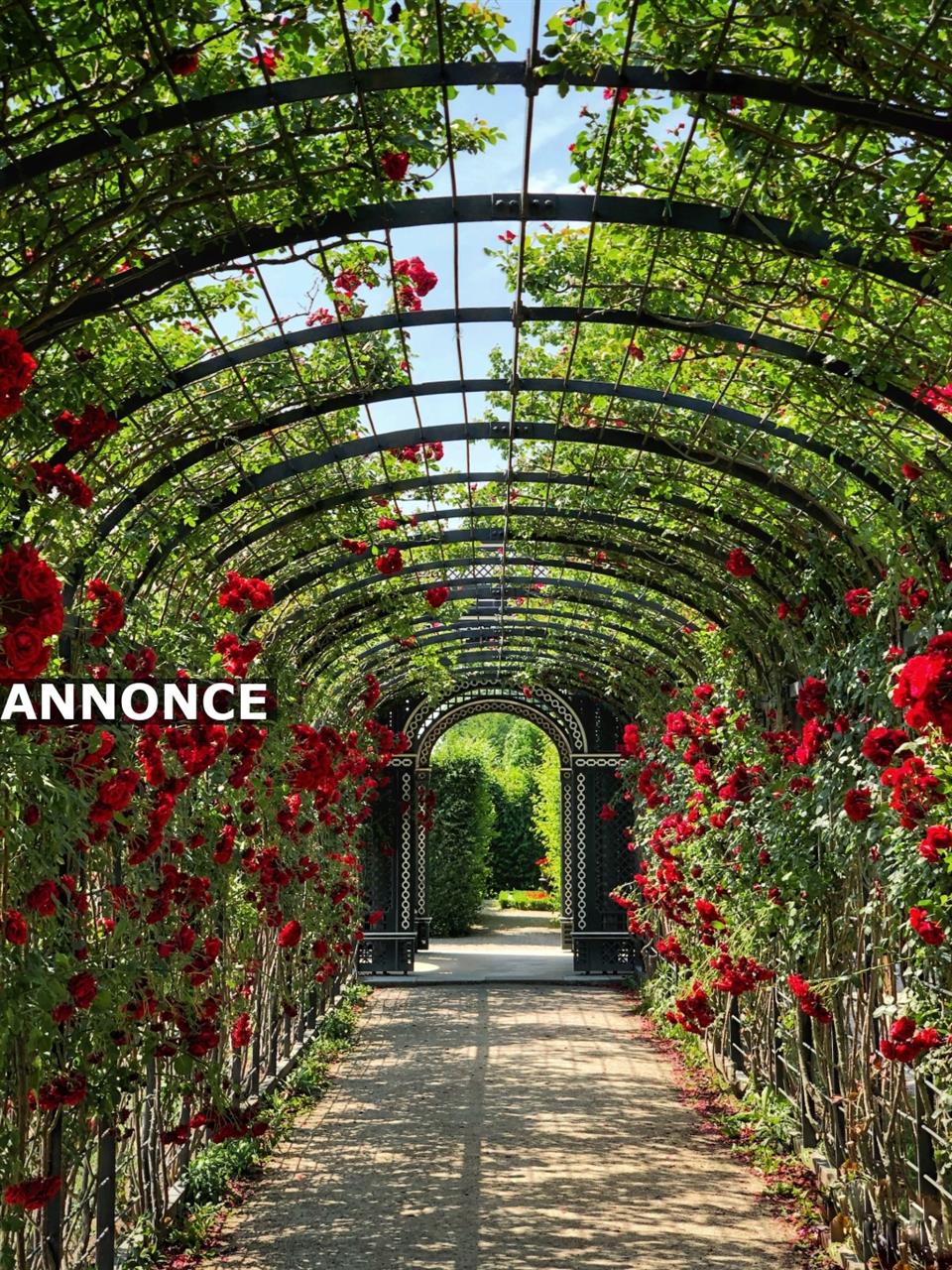 Sadan kommer du i gang med indretningen af hus og have