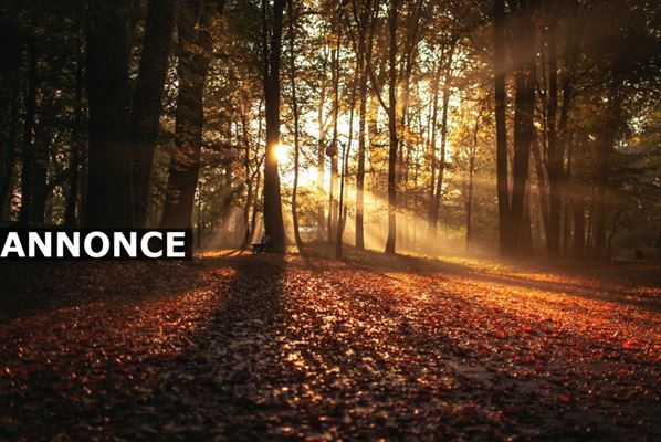 Gode bud til underholdning i efteraret