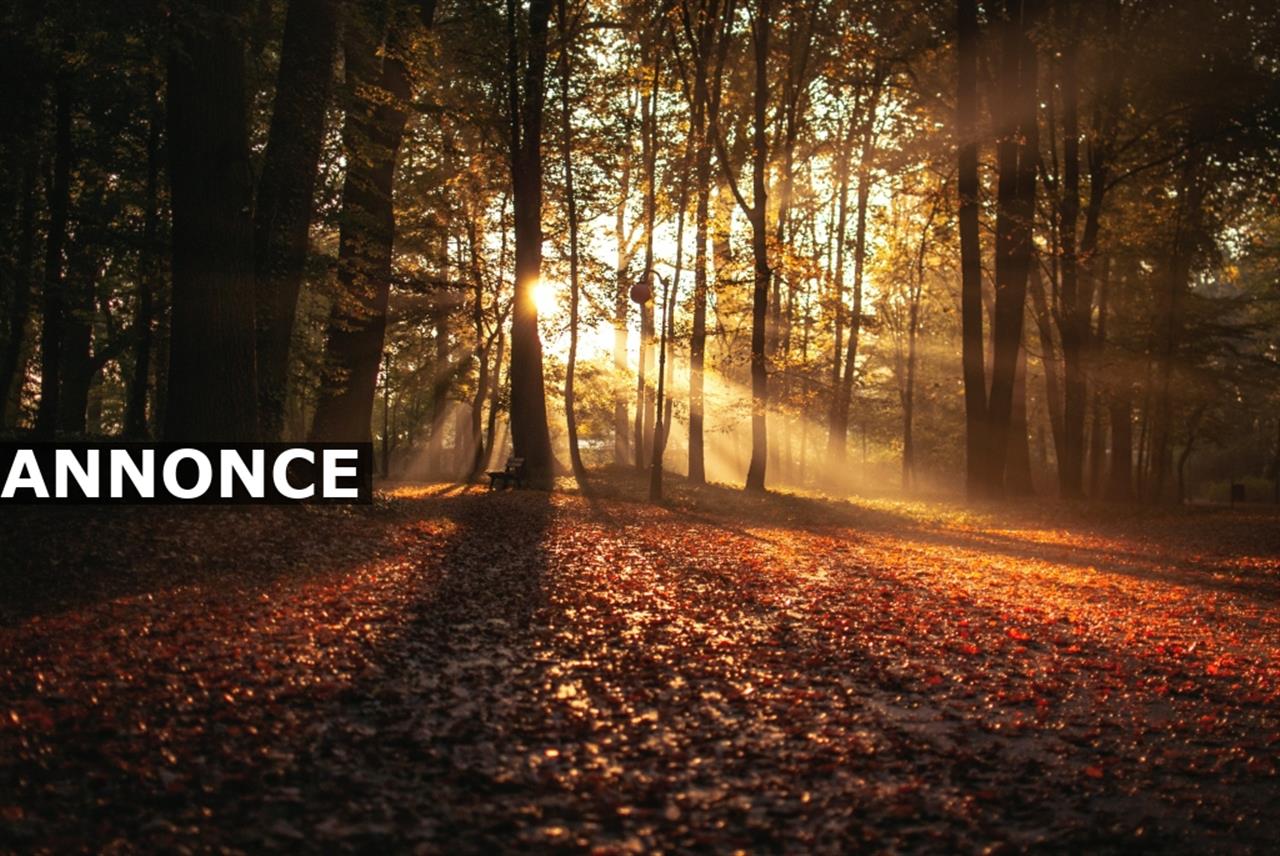 Gode bud til underholdning i efteraret